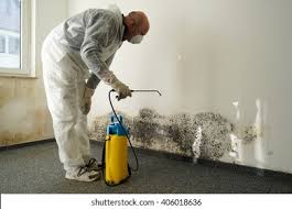 Vinton, LA Mold Removal & Remediation Company